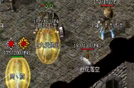 传奇私服新区中去打玛雅神殿应该如何组队 传奇私服新区中去打玛雅神殿应该如何组队